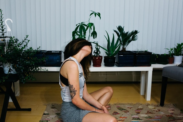 Plant-keeping in apartment to reduce stress and anxiety