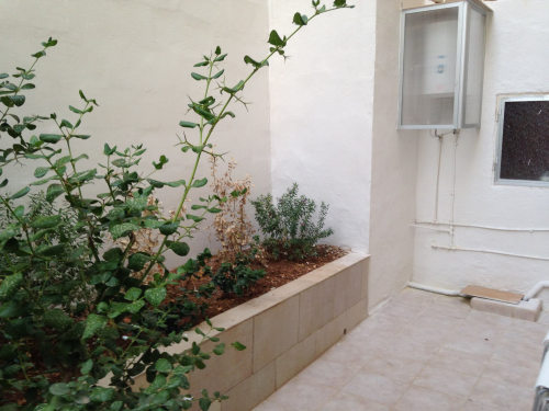 Apartments in Swieqi - Image 5