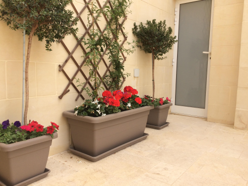 Bungalows in Gozo - Gharb - Image 3