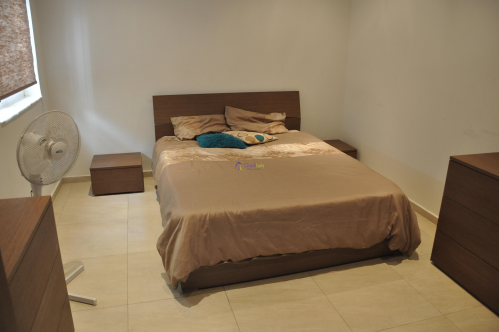 Apartments in Msida - Image 4