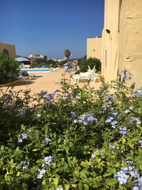 Maisonettes in Marsaskala - Image 3