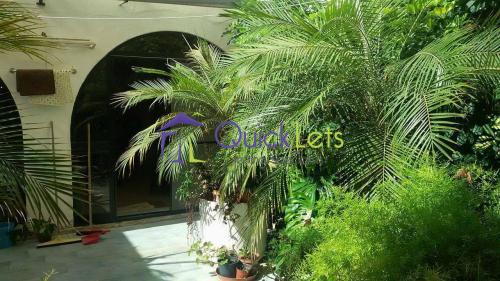 Apartments in Msida - Image 4
