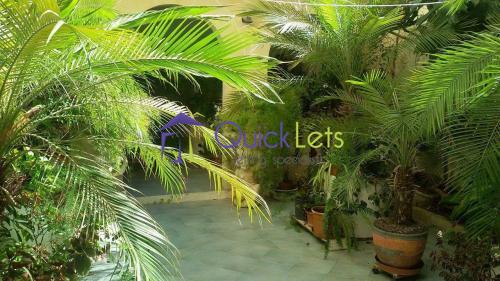 Apartments in Msida - Image 6