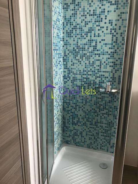 Studio Apartments in Pembroke - Image 4
