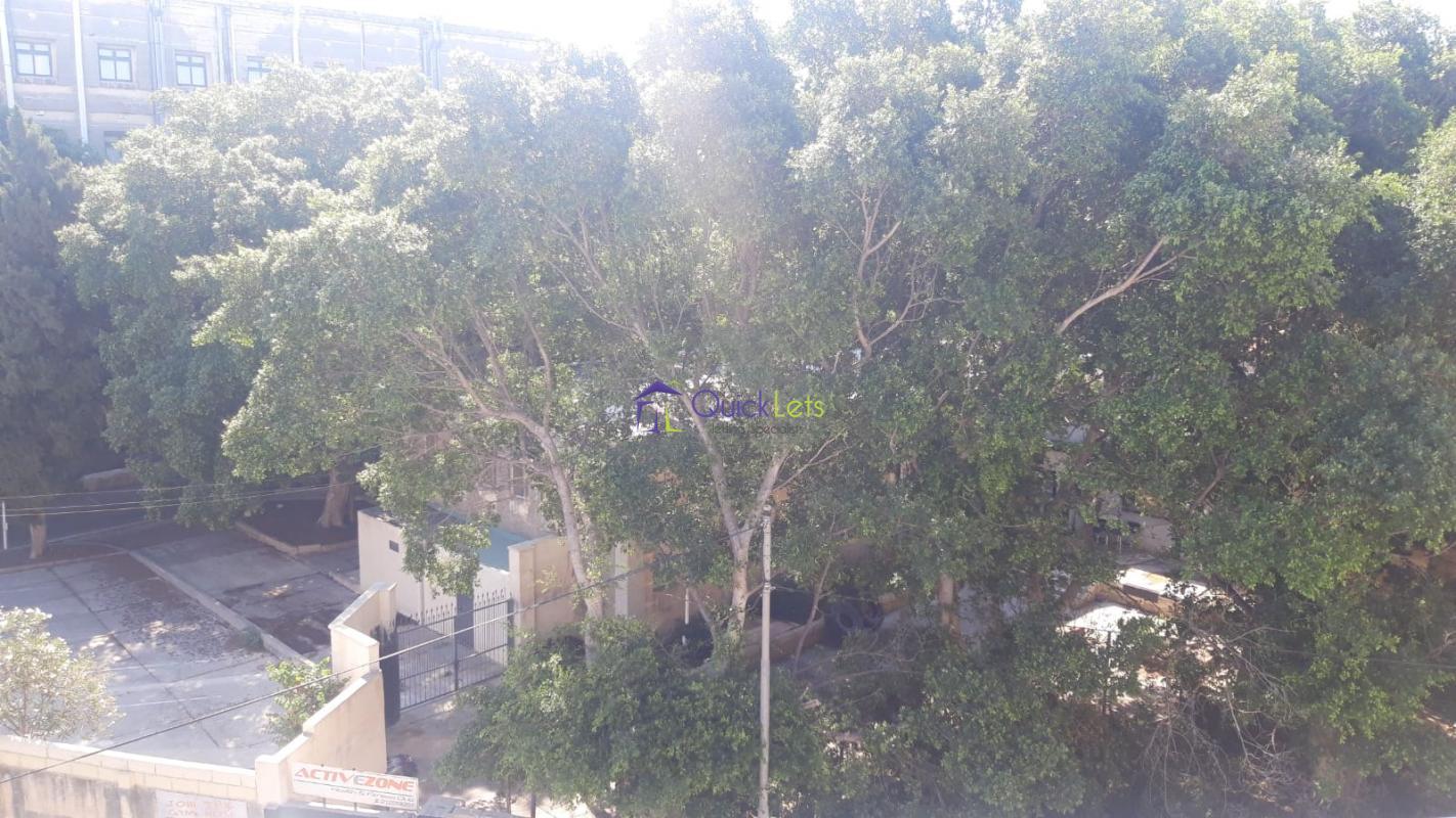 Apartments in Msida - Image 4
