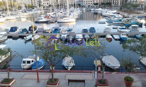 Property in Msida