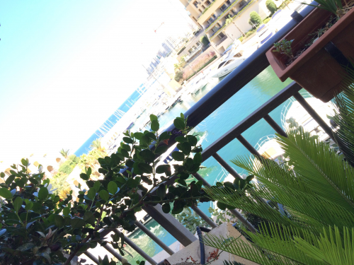 Apartments in St. Julians - Image 6