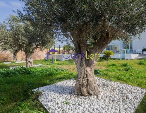 Detached Villa in Rabat - Image 3