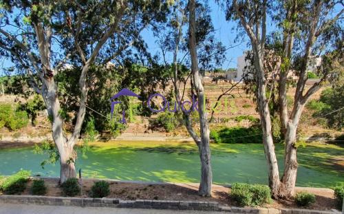 Apartments in Msida - Image 5