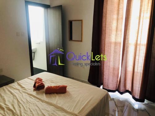 Apartments in Msida - Image 3