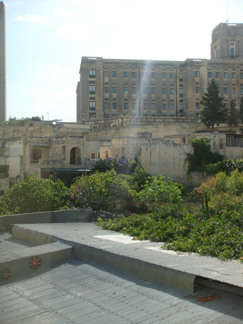 Apartments in Pieta - Image 4
