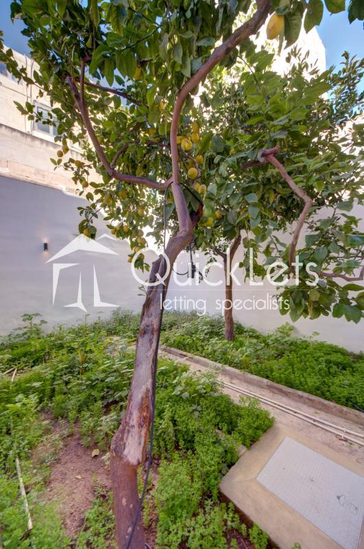 Property in Msida